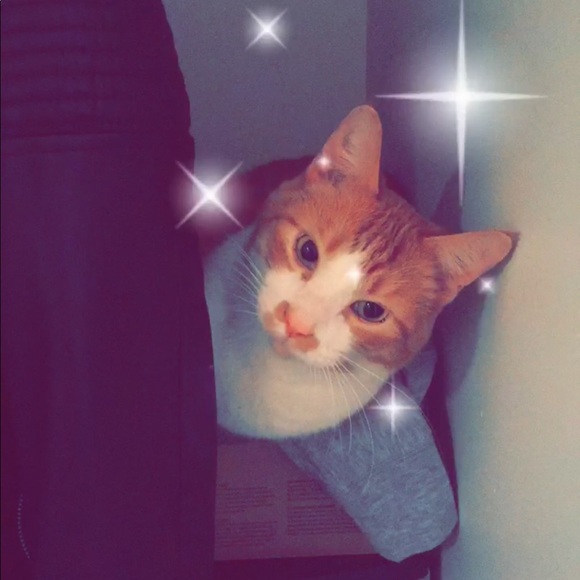 Meet your Posher, Angie - Picture 1 of 1